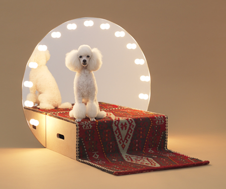 Architecture for Dogs